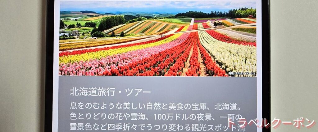 ソラシドエアの北海道ツアーセール