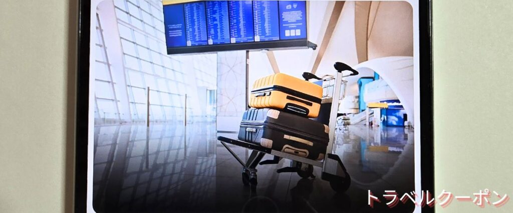 エティハド航空の超過手荷物割引